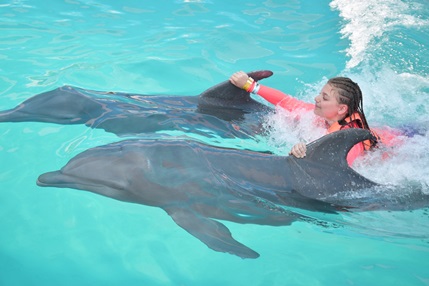 Swimming with the dolphins!