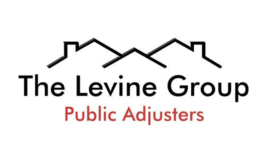 The Levine Group