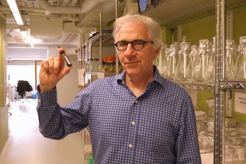 Harvard researcher Douglas Melton with his stem cell-derived beta cells