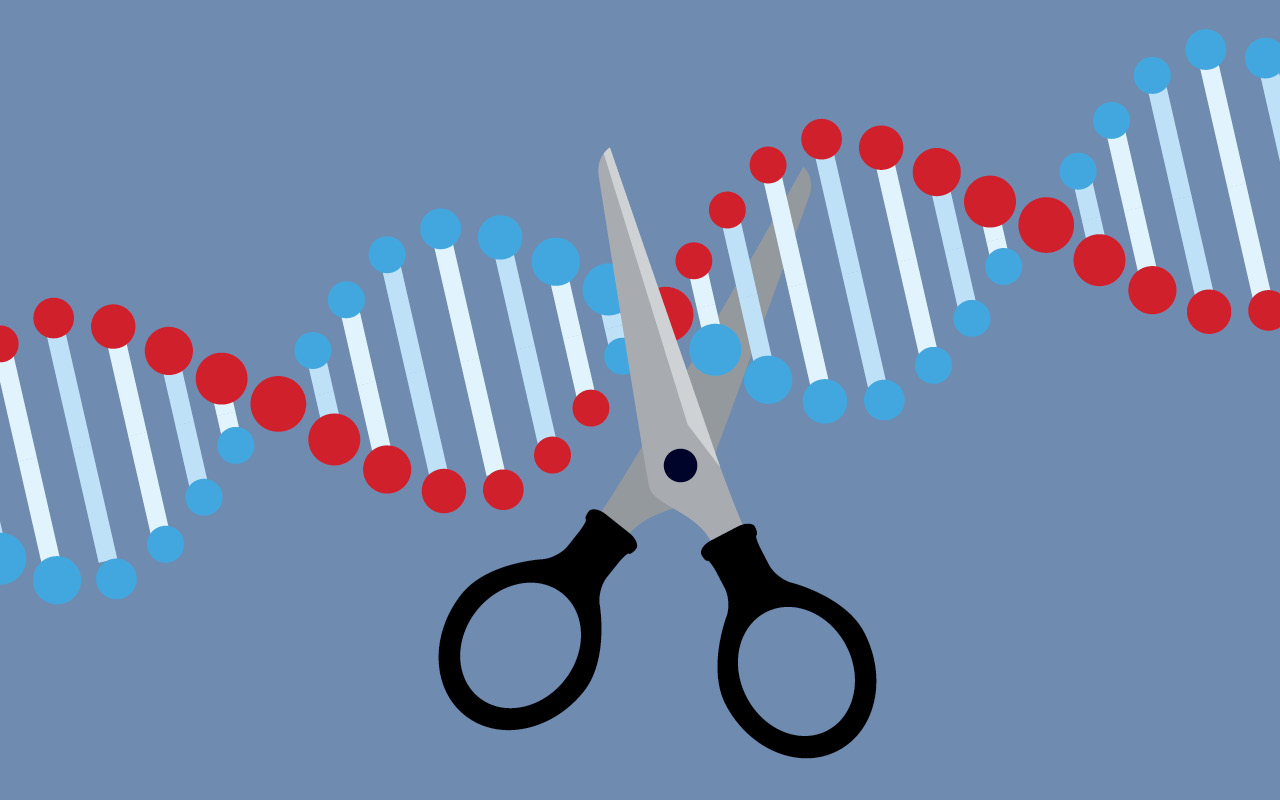 Gene Editing via Scissors