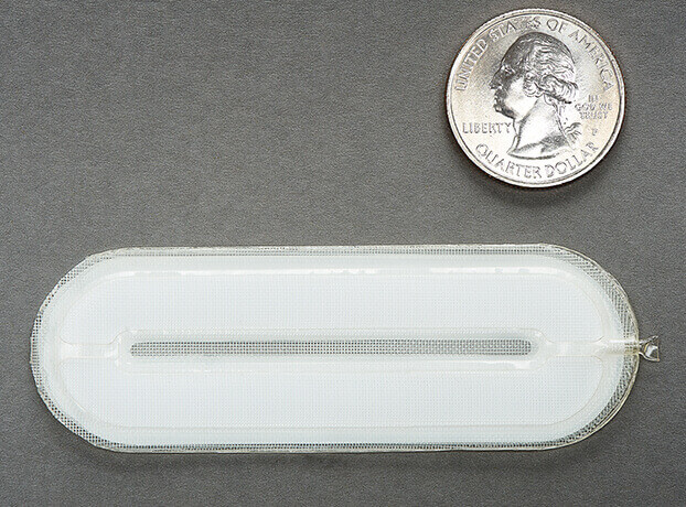 A flat, thin, oval-shaped beta cell capsule is shown next to a U.S. quarter, which is about one-fourth the length of the device