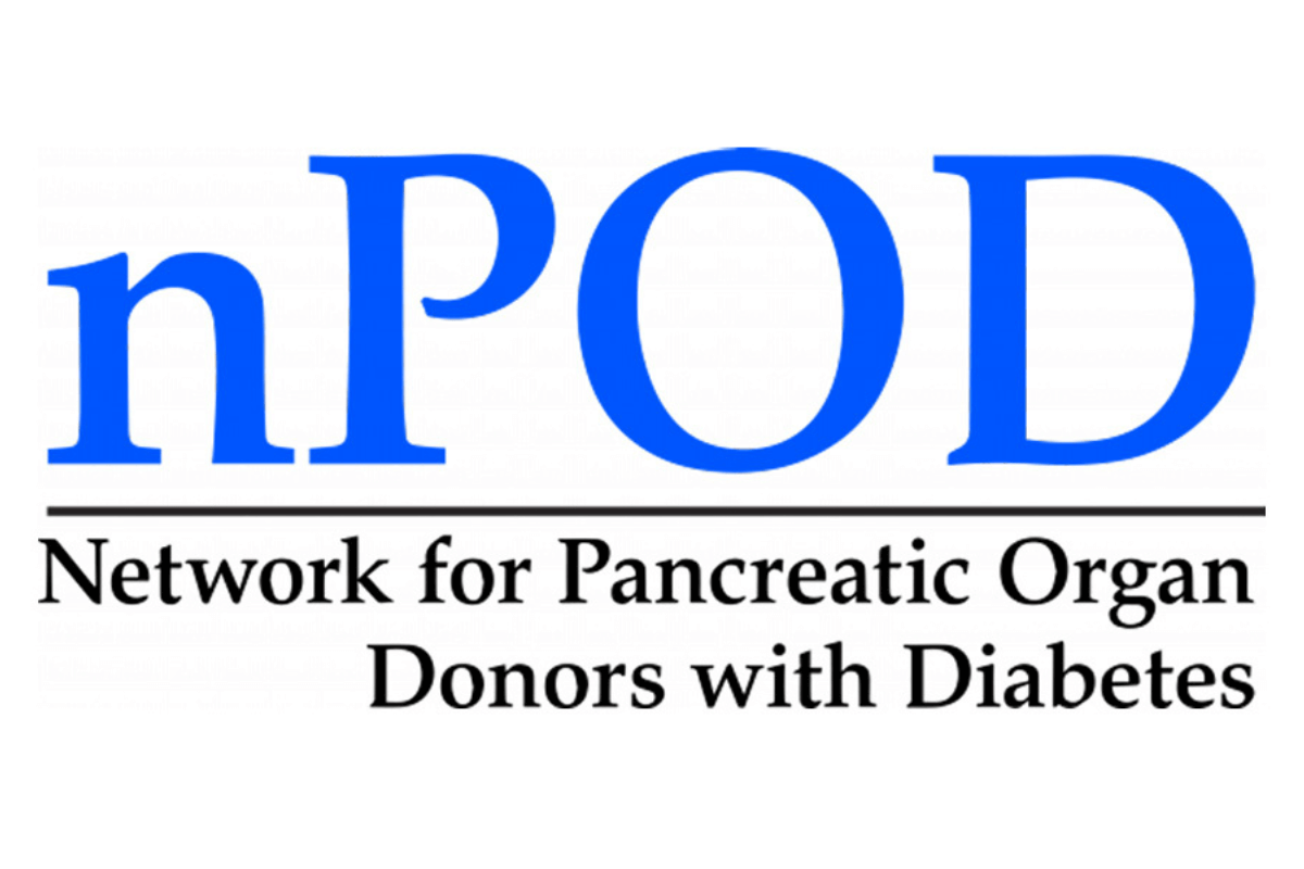 Network for Pancreatic Organ Donors with Diabetes (nPOD) logo